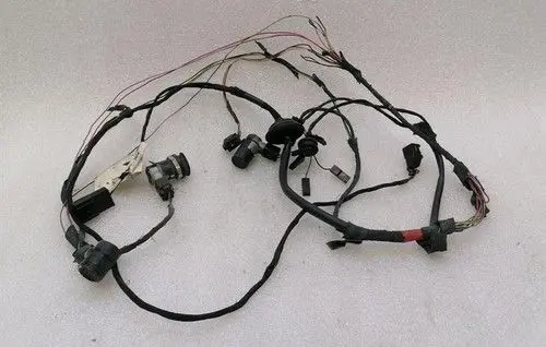 Ferrari 360 Rear door wiring loom