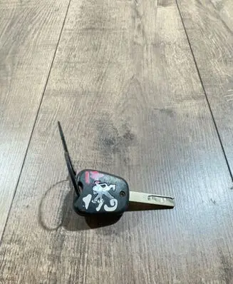 Ignition key/card