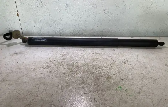 Tailgate/trunk/boot lift motor