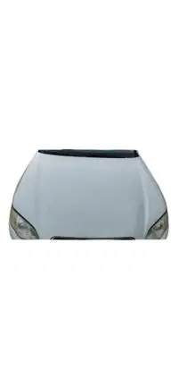 Engine bonnet/hood