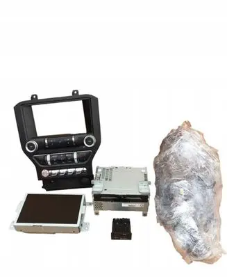 Ford Mustang VI Audio system kit FR3T19C107TE