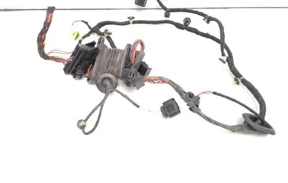 Front door wiring loom