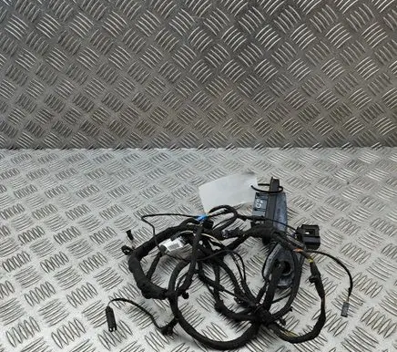 BMW 6 F06 Gran coupe Other wiring loom 9255415