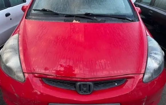 Engine bonnet/hood