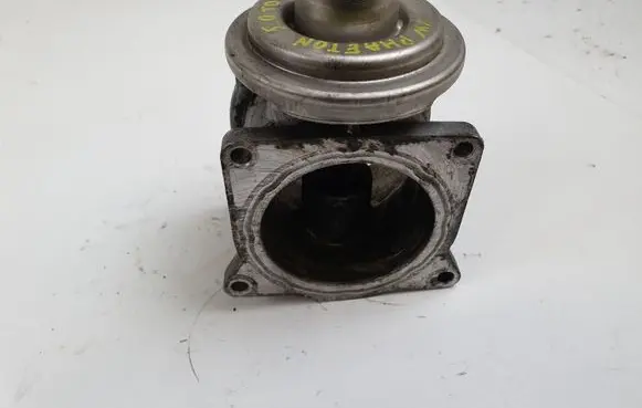 Volkswagen Phaeton EGR valve 07Z131501A