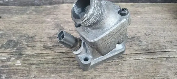 Thermostat/thermostat housing