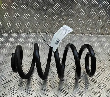 Rear coil spring