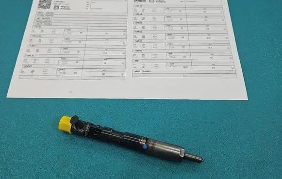 Renault Scenic II - Grand scenic II Fuel injector EJBR01801Z IMPRK1546141