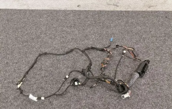Front door wiring loom