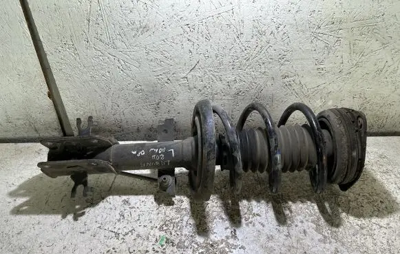 Renault Laguna III Front shock absorber/damper