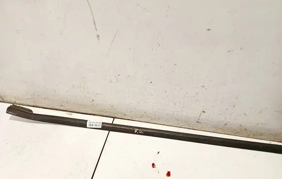 Ford Focus C-MAX Front door glass trim molding 3m51r20562