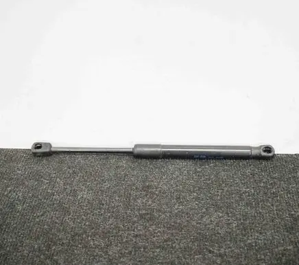 Tailgate/trunk strut/damper