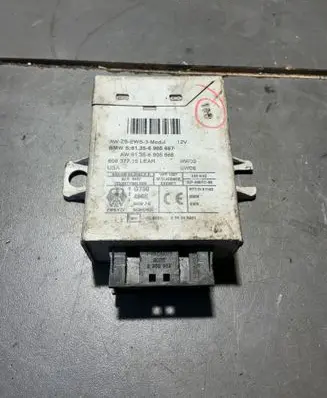 BMW X5 E53 Immobilizer control unit/module 61356905667