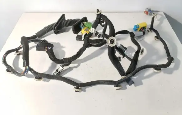 Peugeot 2008 II Front door wiring loom 9841196980