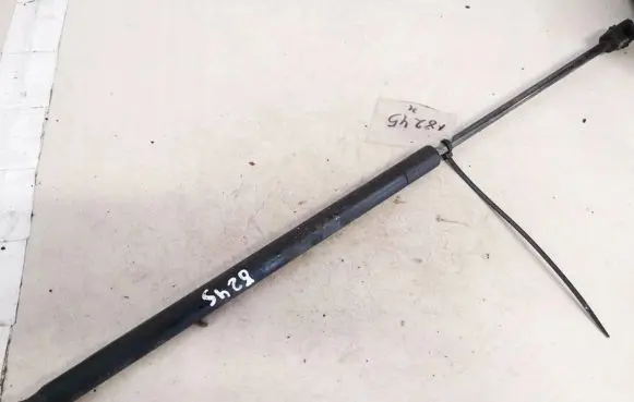 Smart ForFour I Tailgate/trunk strut/damper