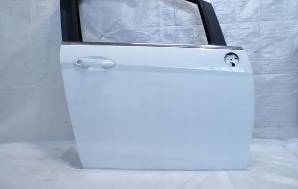 Ford B-MAX Front door
