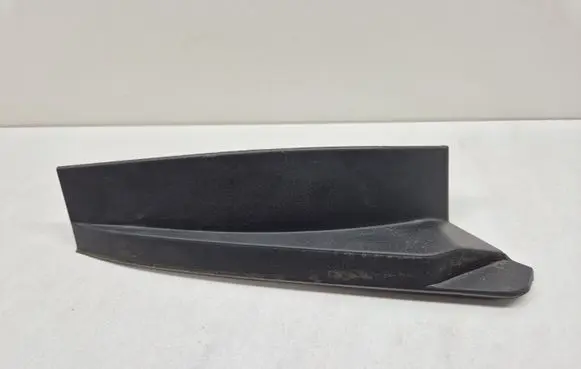 Rear/tail light trim molding