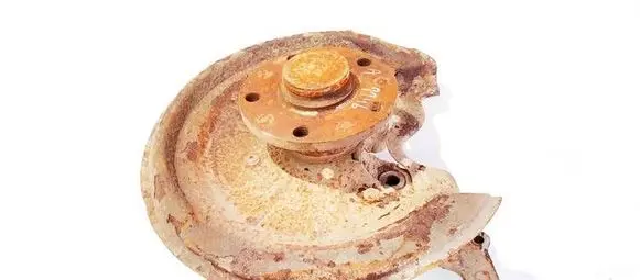 Skoda Octavia Mk2 (1Z) Rear wheel hub didzioji