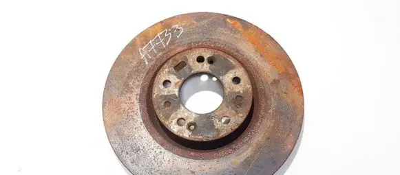 Hyundai ix 55 Front brake disc ventiliuojamas