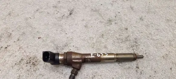 Nissan Qashqai Fuel injector H8200294788 166009445R 50724