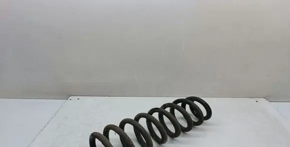 Rear coil spring