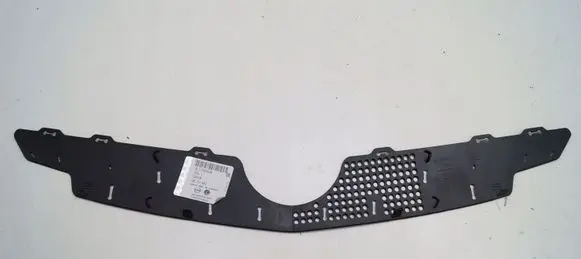 Engine bonnet/hood lock trim molding