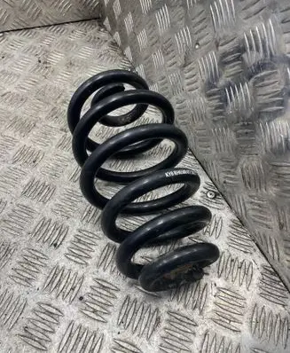 Rear coil spring