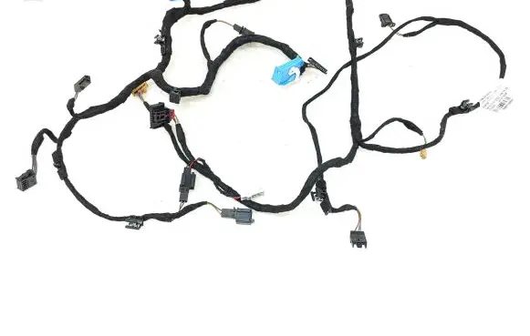 Front door wiring loom
