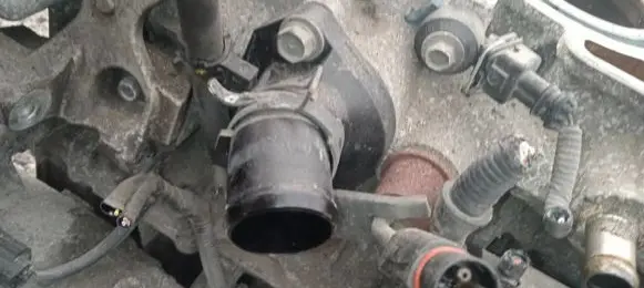 Nissan Qashqai Engine coolant pipe/hose