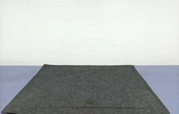 Skoda Roomster (5J) Front floor carpet liner 5J7863463B