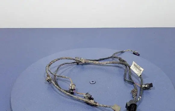 Volkswagen PASSAT CC Other wiring loom 3G9971104