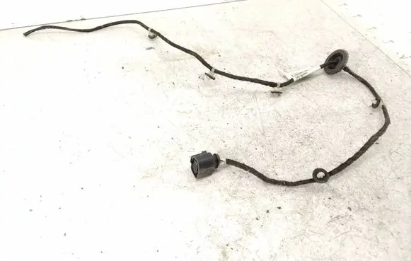 Volkswagen PASSAT B6 Rear door wiring loom 3C4971694JJ 801989486 TJB0162988Q