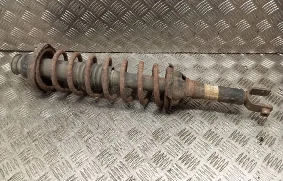 Rover 620 Rear shock absorber with coil spring 22102888