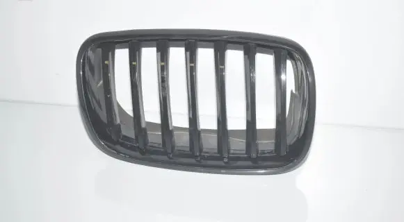 BMW X6 E71 Front bumper upper radiator grill 7171396 7305590 51137305590