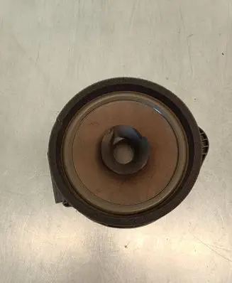 Opel Zafira C Rear door speaker 
