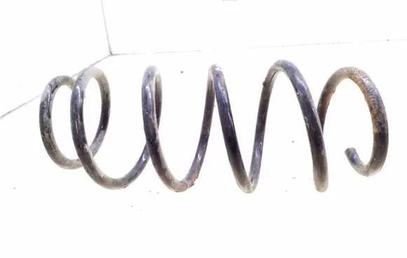 Front coil spring