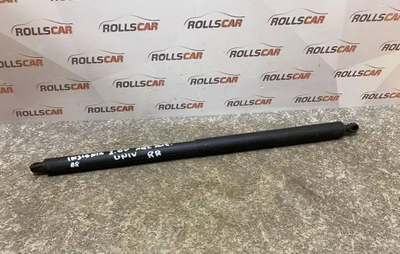 Opel Insignia A Tailgate/trunk strut/damper 13247949 315005777