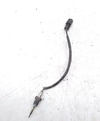 Renault Kadjar Exhaust gas temperature sensor 0239507M17