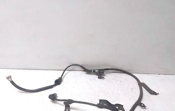 Lexus RX 450H Other wiring loom 8282178030