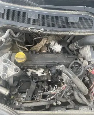 Renault Megane II Engine K9K K9K792
