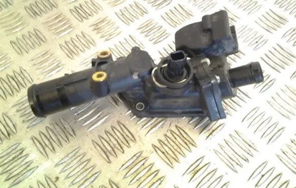 Thermostat/thermostat housing