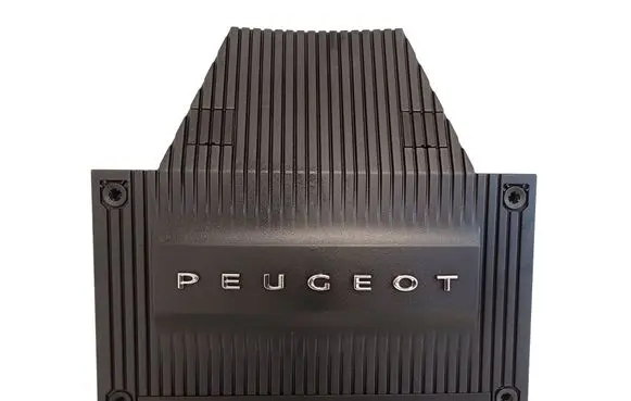 Peugeot 2008 II Engine cover (trim) 9828879280