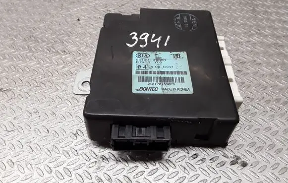 KIA Sorento Door central lock control unit/module 954003E300