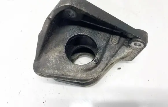 Renault Espace - Grand espace IV Engine mounting bracket 820000034