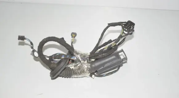 BMW 2 F22 F23 Front door wiring loom 9341006 9335592 61129335592
