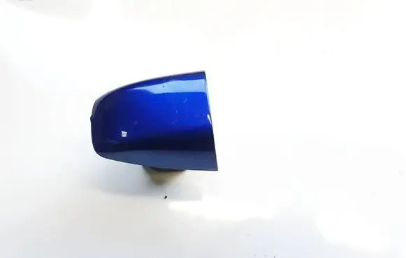 Renault Austral Loading door cover/cap 252028