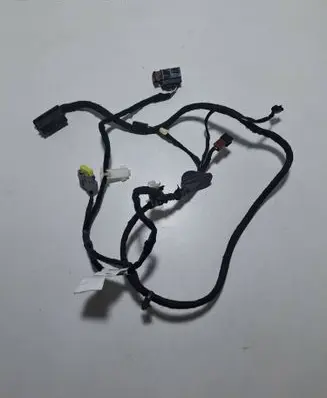 Front door wiring loom