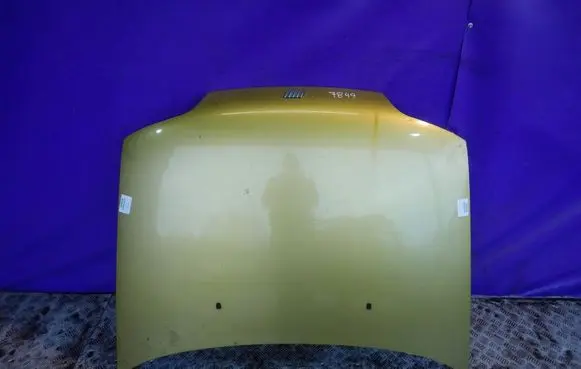 Fiat Punto (176) Engine bonnet/hood 