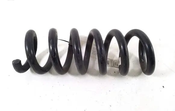 Rear coil spring