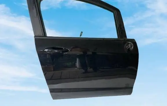 Ford B-MAX Front door 